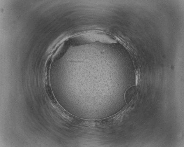 X0000081460339200701261943