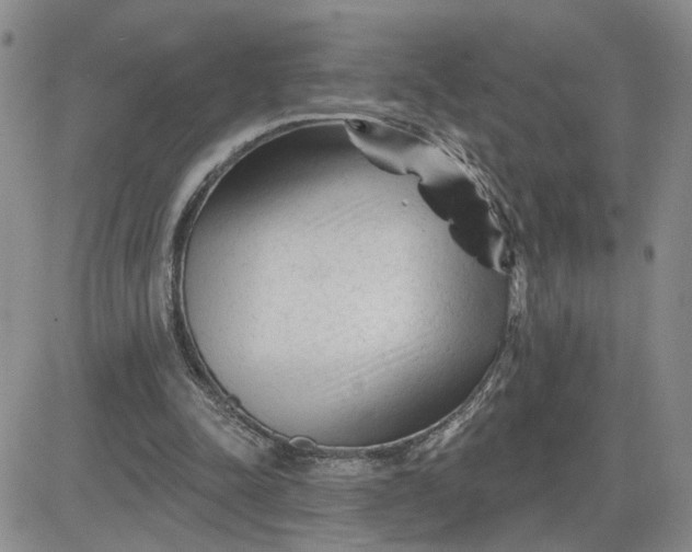 X0000081460342200701261943