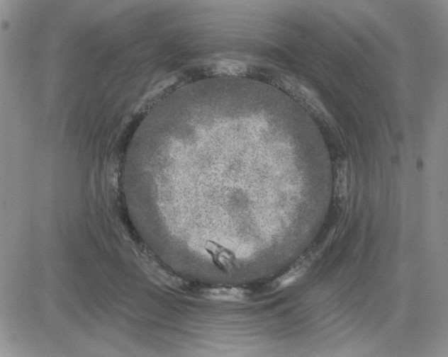 X0000081460363200701261944