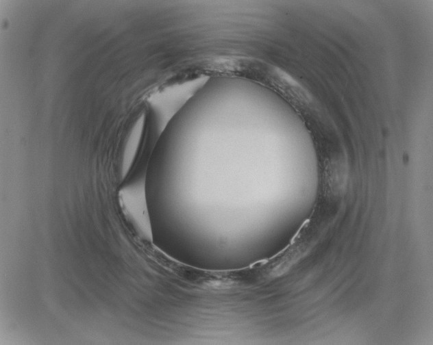 X0000081460364200701261944