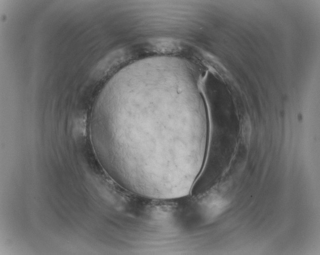 X0000081460368200701261944