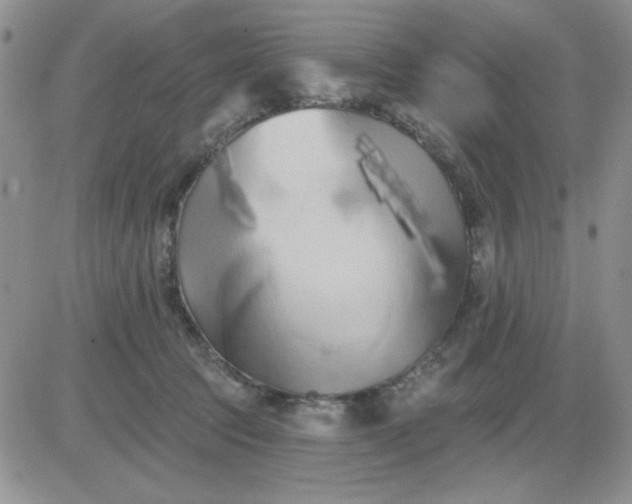 X0000081460369200701261944