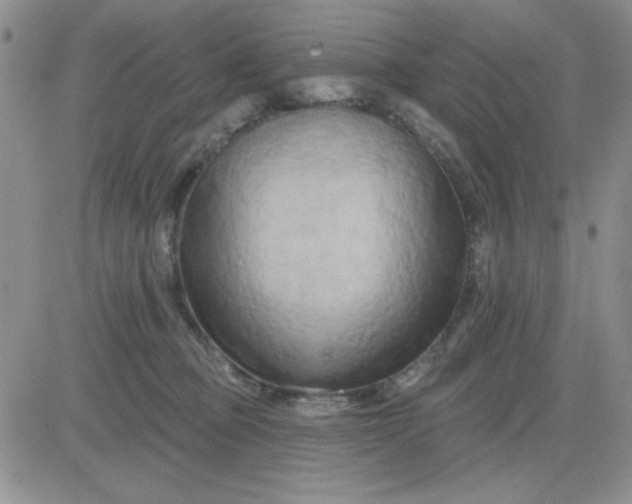 X0000081460373200701261944