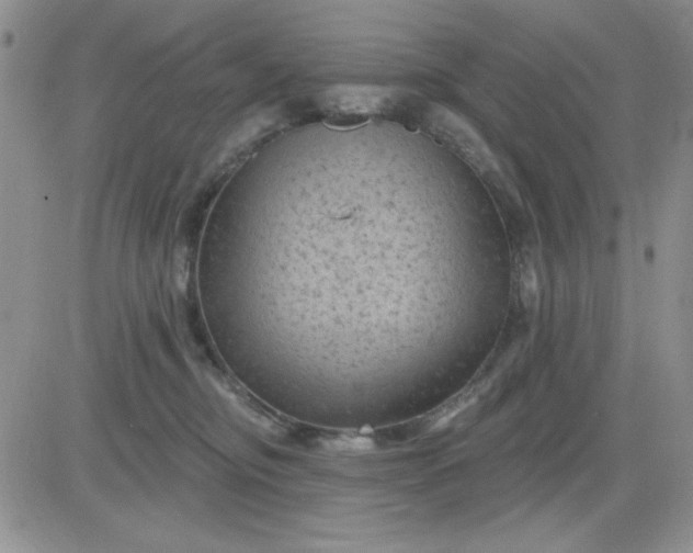 X0000081460374200701261944