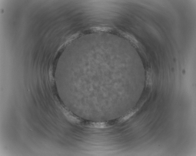 X0000081460377200701261944