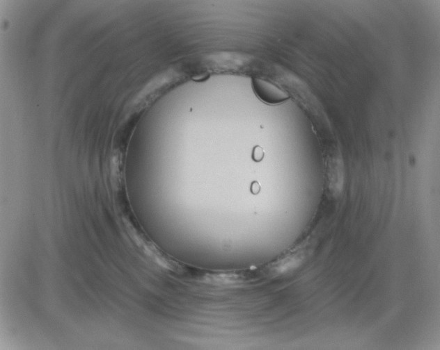 X0000081460378200701261944