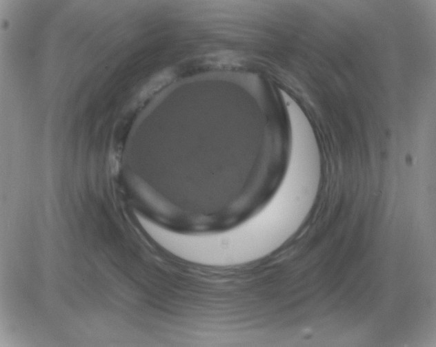 X0000081460382200701261944