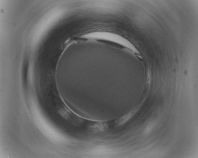 X0000081460383200701261944