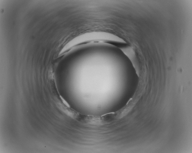 X0000081460384200701261944