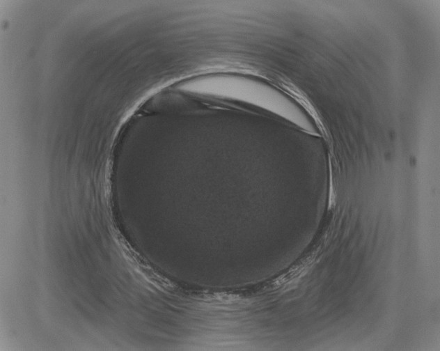 X0000081460387200701261943