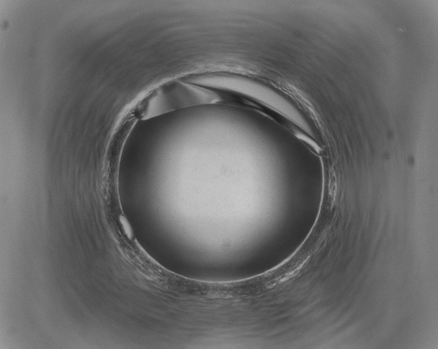 X0000081460388200701261943