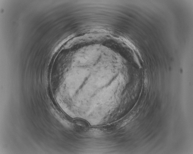 X0000081460390200701261943
