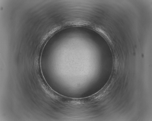 X0000081460394200701261943
