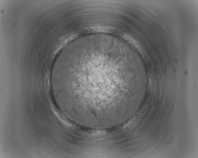 X0000081460398200701261943