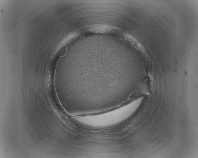 X0000081460400200701261943