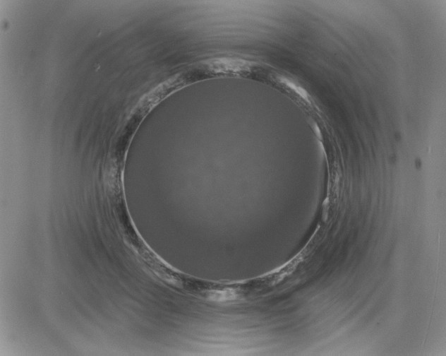 X0000081460411200701261943