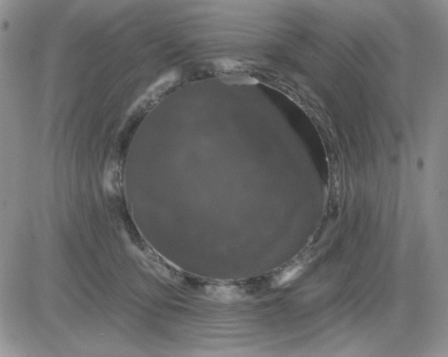 X0000081460419200701261943