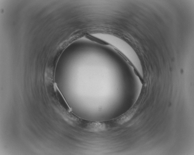 X0000081460421200701261943