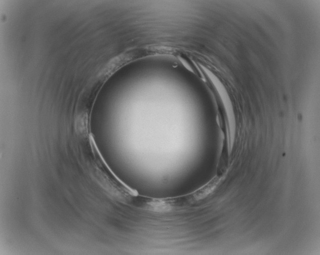 X0000081460425200701261942