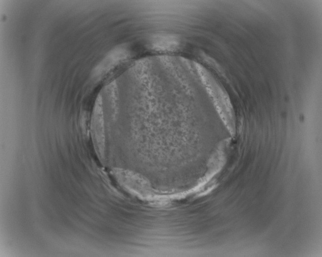 X0000081460428200701261942