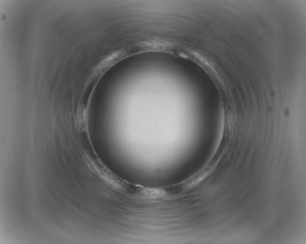 X0000081460429200701261942