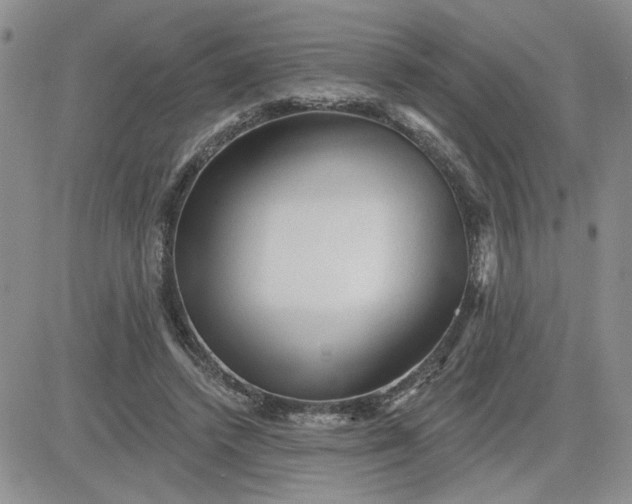 X0000081460448200701261942
