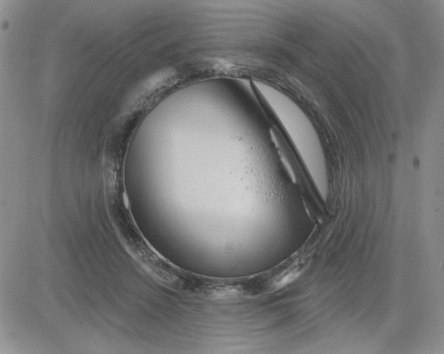 X0000081460456200701261942