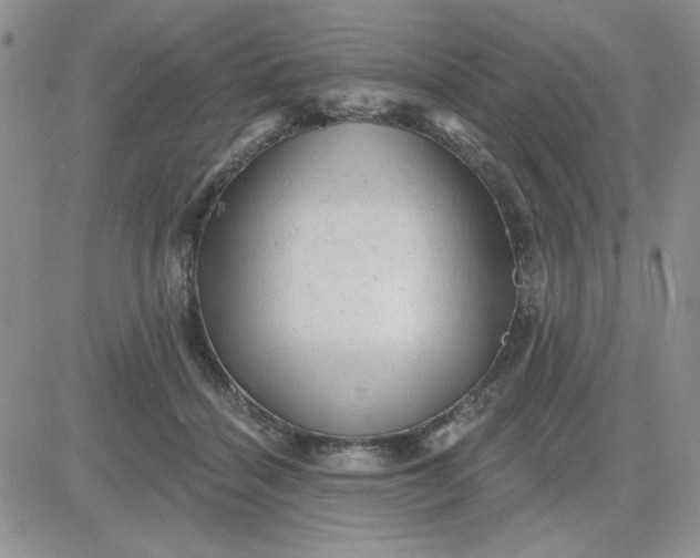 X0000081460460200701261942