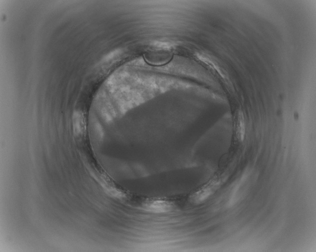 X0000081460467200701261942
