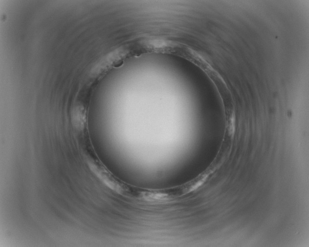X0000081460476200701261942