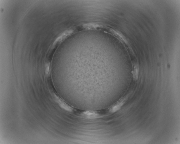 X0000081460477200701261942