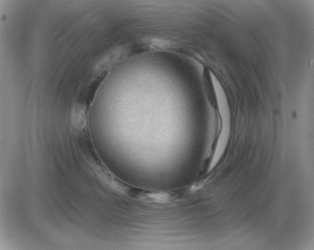 X0000081460478200701261942