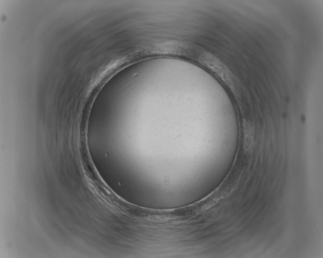 X0000081460482200701261942