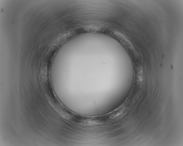 X0000081460498200701261941