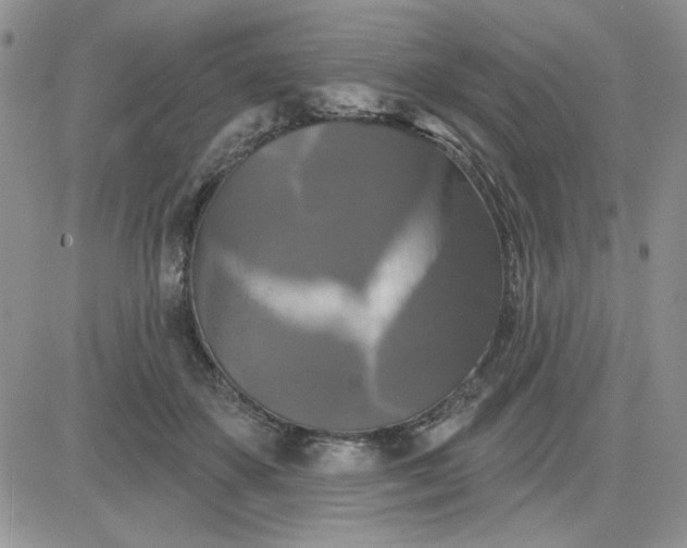 X0000081460507200701261941