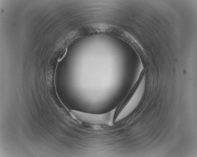X0000081460509200701261941