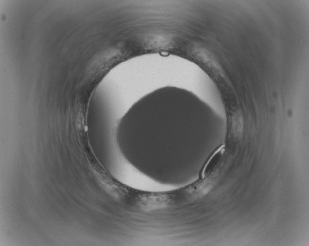 X0000081460517200701261941