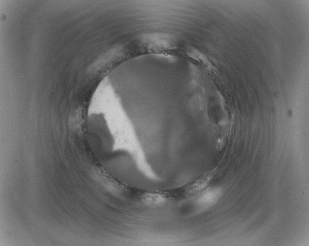 X0000081460519200701261941