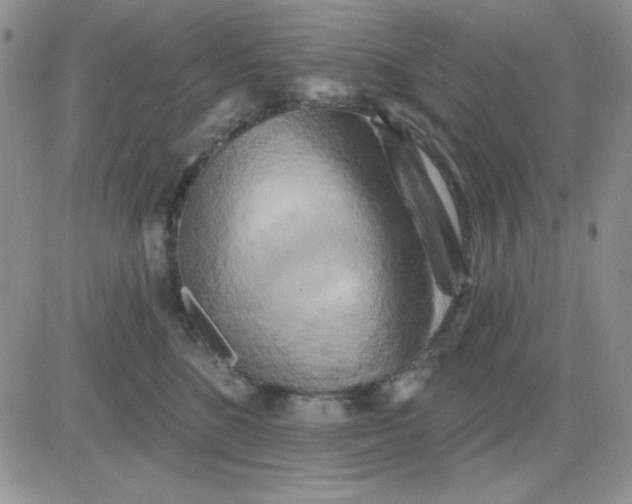 X0000081460520200701261941