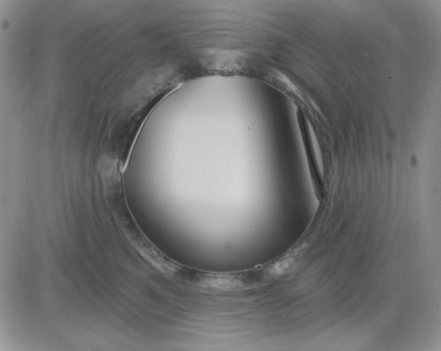 X0000081460521200701261941