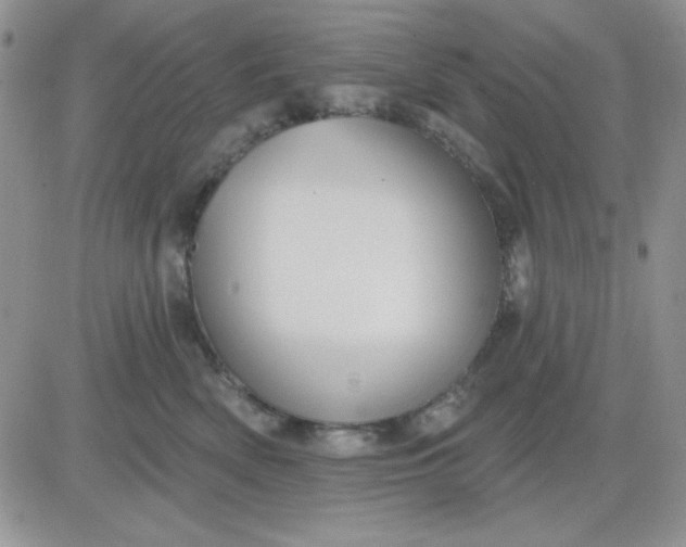 X0000081460522200701261941