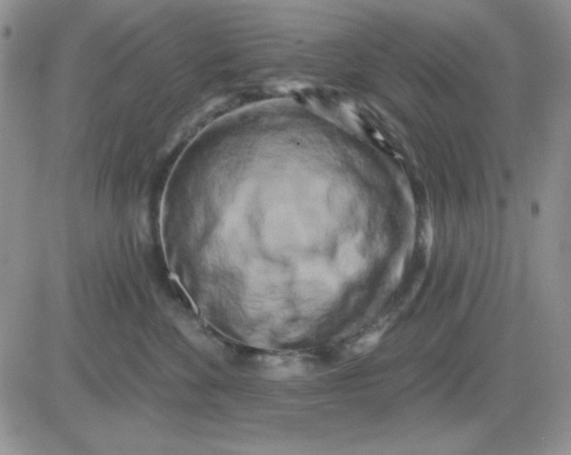 X0000081460524200701261941