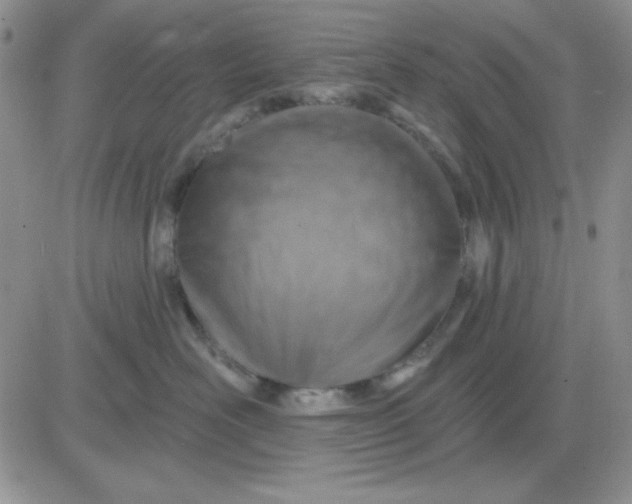 X0000081460526200701261941