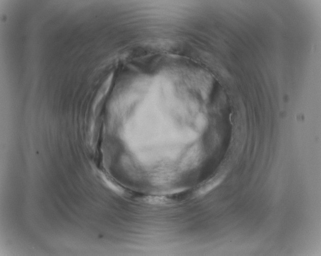 X0000081460528200701261941