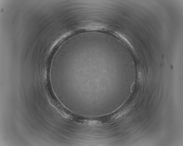 X0000081460539200701261940