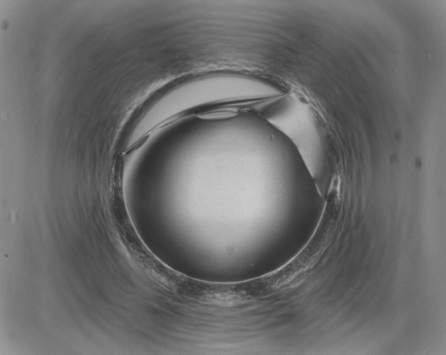 X0000081460540200701261940
