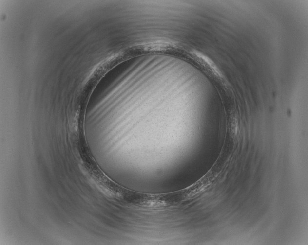 X0000081460543200701261940