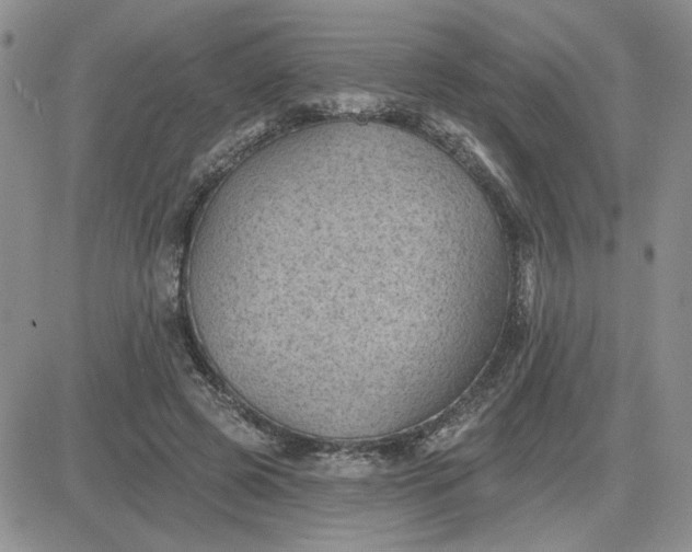 X0000081460545200701261940