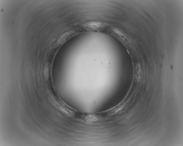 X0000081460562200701261941