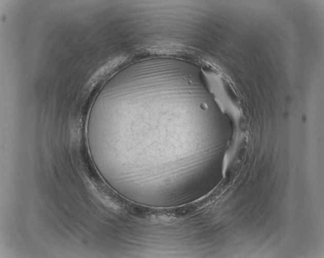 X0000081460586200701261940